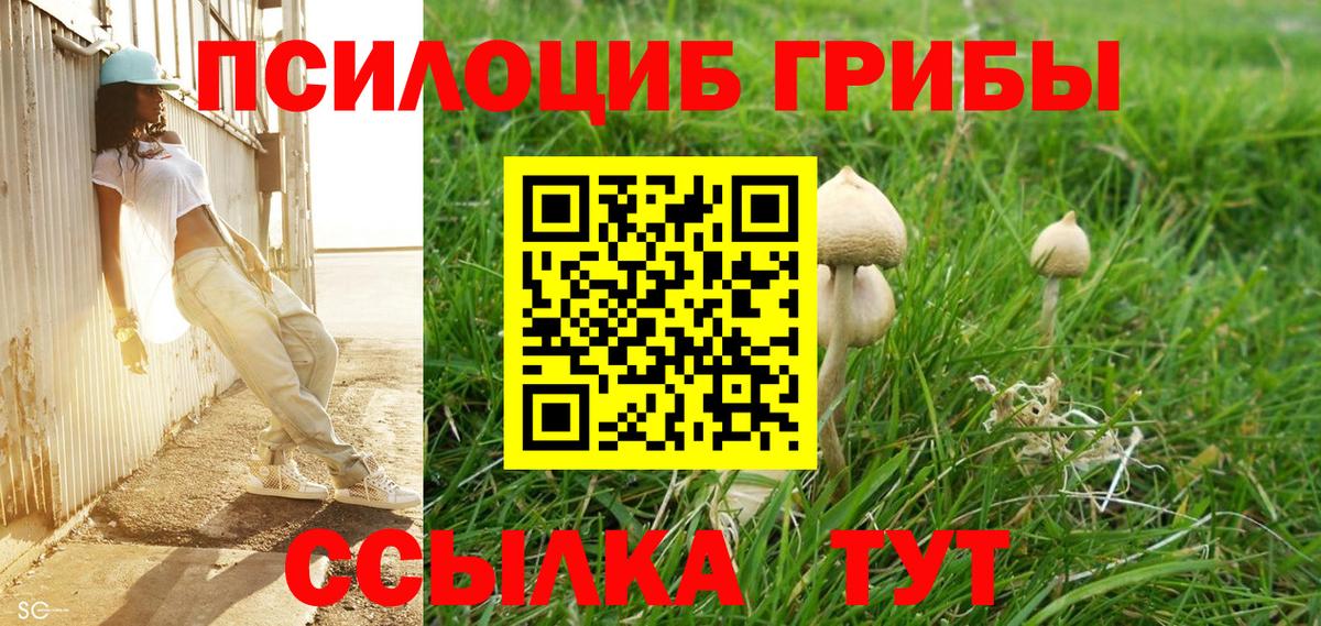 Еманжелинск  Псилоцибиновые грибы ЛСД  Вход с VPN  Псилоцибиновые грибы мухоморы 